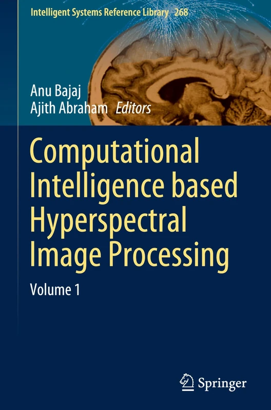 Computational Intelligence based Hyperspectral Image Processing: Volume 1: 268 (Intelligent Systems Reference Library, 268)