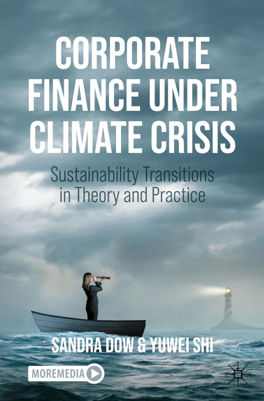Corporate Finance Under Climate Crisis: Sustainability Transitions in Theory and Practice