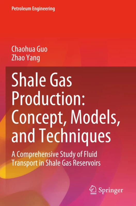 Shale Gas Production: Concept, Models, and Techniques: A Comprehensive Study of Fluid Transport in Shale Gas Reservoirs (Petroleum Engineering)