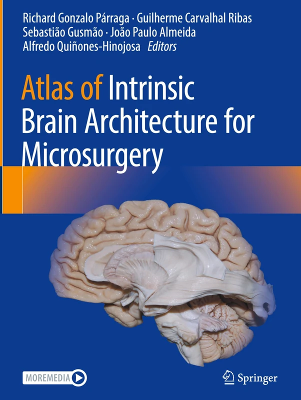 Atlas of Intrinsic Brain Architecture for Microsurgery: With Online Files