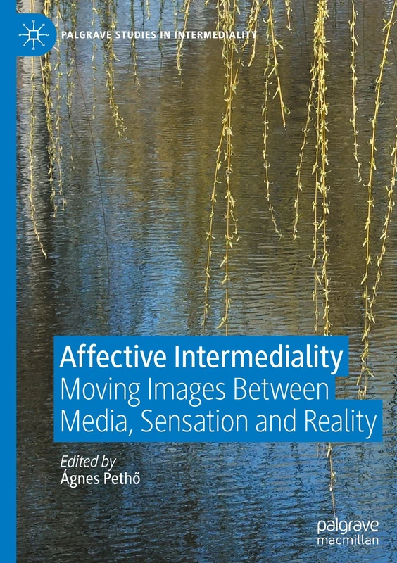 Affective Intermediality: Moving Images Between Media, Sensation and Reality (Palgrave Studies in Intermediality)