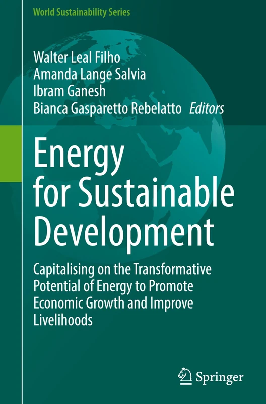 Energy for Sustainable Development: Capitalising on the Transformative Potential of Energy to Promote Economic Growth and Improve Livelihoods (World Sustainability Series)