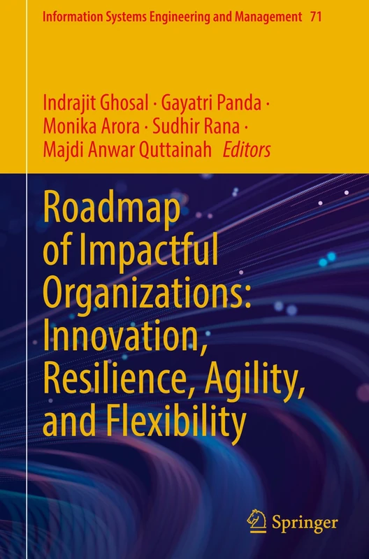 Roadmap of Impactful Organizations: Innovation, Resilience, Agility, and Flexibility (Information Systems Engineering and Management, 71)