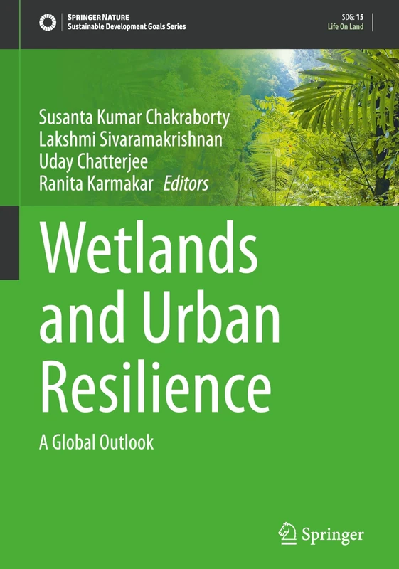 Wetlands and Urban Resilience: A Global Outlook (Sustainable Development Goals Series)