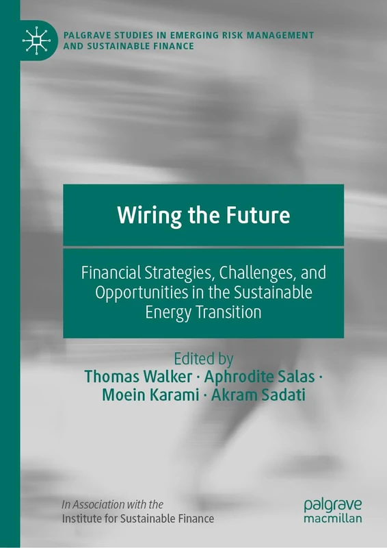 Wiring the Future: Financial Strategies, Challenges, and Opportunities in the Sustainable Energy Transition (Palgrave Studies in Emerging Risk Management and Sustainable Finance)