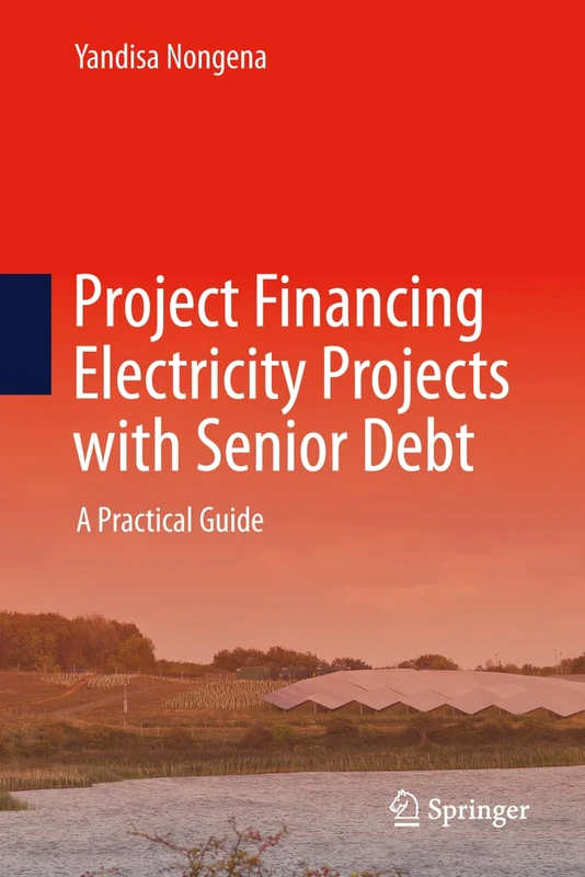 Project Financing Electricity Projects with Senior Debt: A Practical Guide