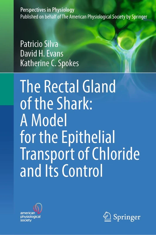 The Rectal Gland of the Shark: A Model for the Epithelial Transport of Chloride and Its Control (Perspectives in Physiology) - Image 1