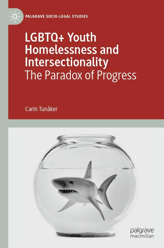 LGBTQ+ Youth Homelessness and Intersectionality: The Paradox of Progress (Palgrave Socio-Legal Studies)