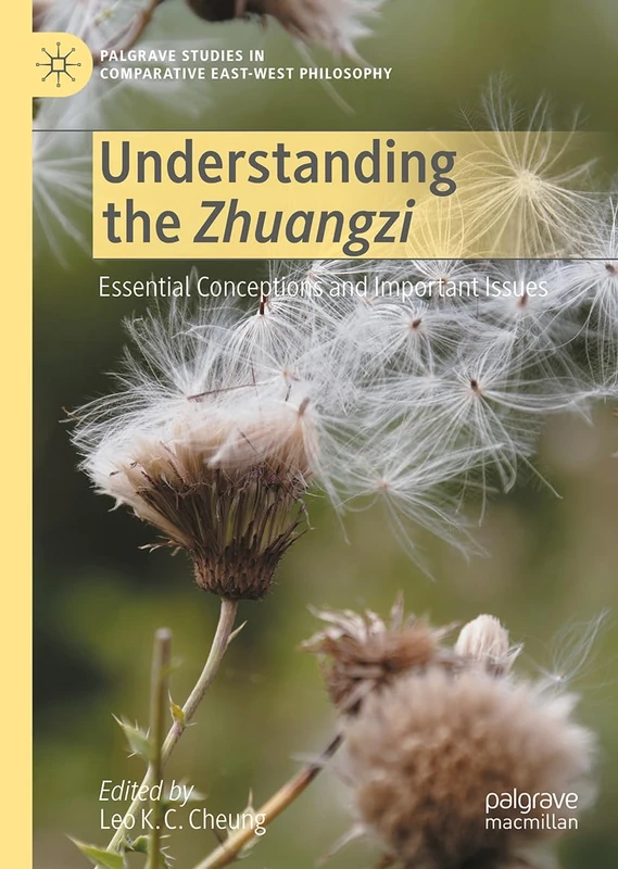 Understanding the Zhuangzi: Essential Conceptions and Important Issues (Palgrave Studies in Comparative East-West Philosophy)