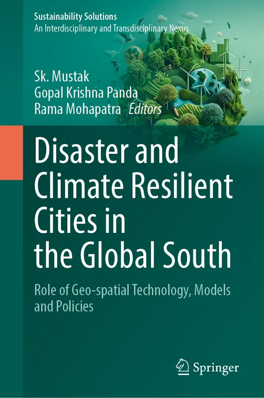 Disaster and Climate Resilient Cities in the Global South: Role of Geo-spatial Technology, Models and Policies (Sustainability Solutions)