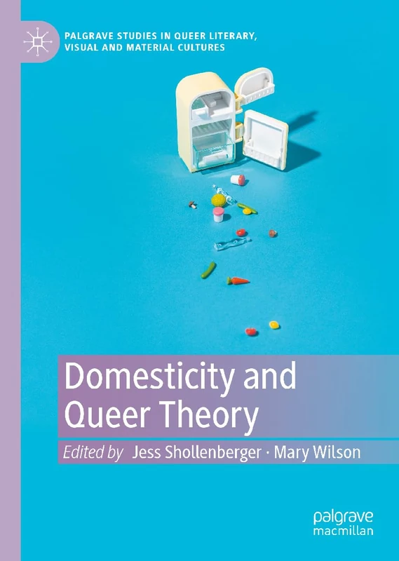Domesticity and Queer Theory (Palgrave Studies in Queer Literary, Visual and Material Cultures)