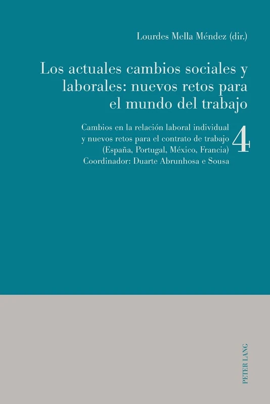Los actuales cambios sociales y laborales: nuevos retos para el mundo del trabajo: Libro 4: Cambios en la relación laboral individual y nuevos retos ... trabajo (España, Portugal, México, Francia)