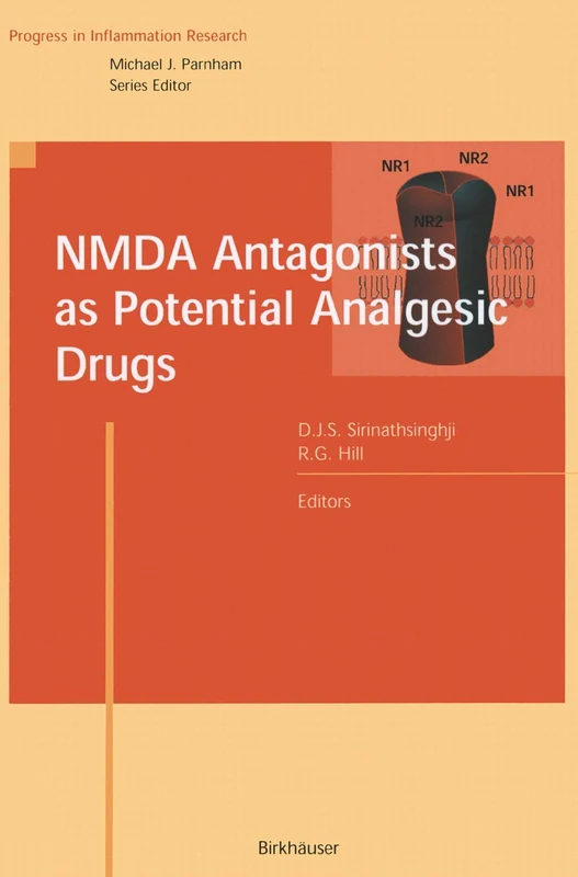 NMDA Antagonists as Potential Analgesic Drugs (Progress in Inflammation Research)
