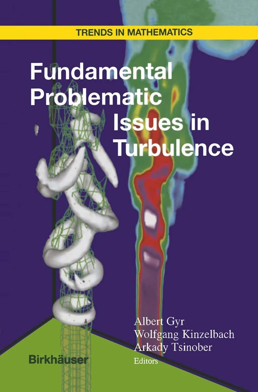 Birkhauser Fundamental Problematic Issues in Turbulence Book