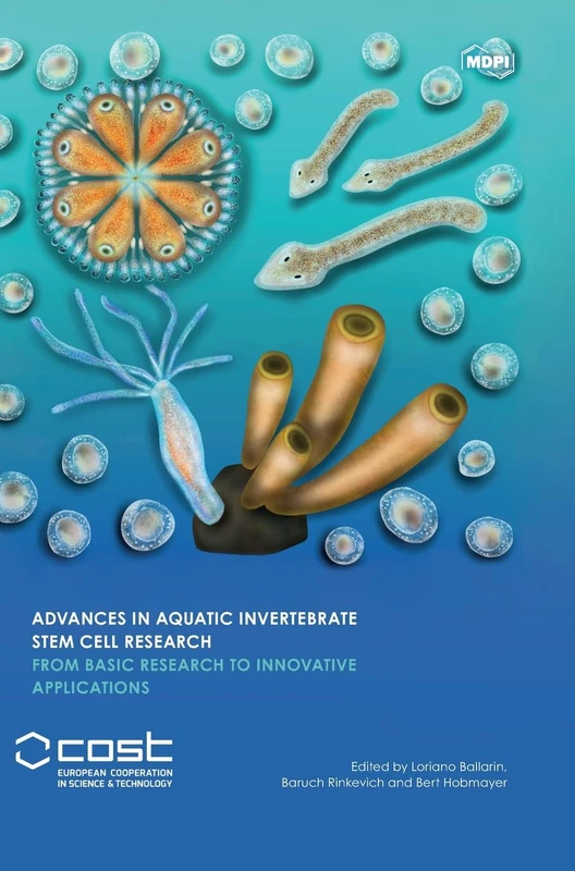 Advances in Aquatic Invertebrate Stem Cell Research: From Basic Research to Innovative Applications