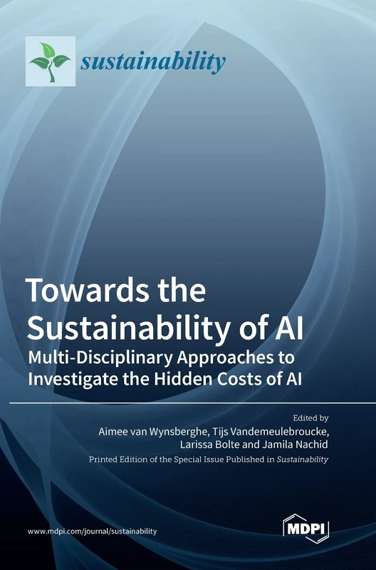 Towards the Sustainability of AI: Multi-Disciplinary Approaches to Investigate the Hidden Costs of AI
