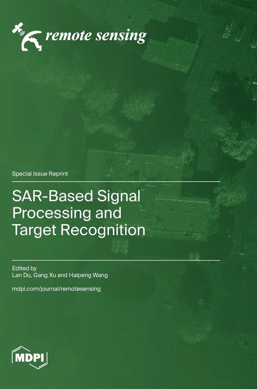 SAR-Based Signal Processing and Target Recognition