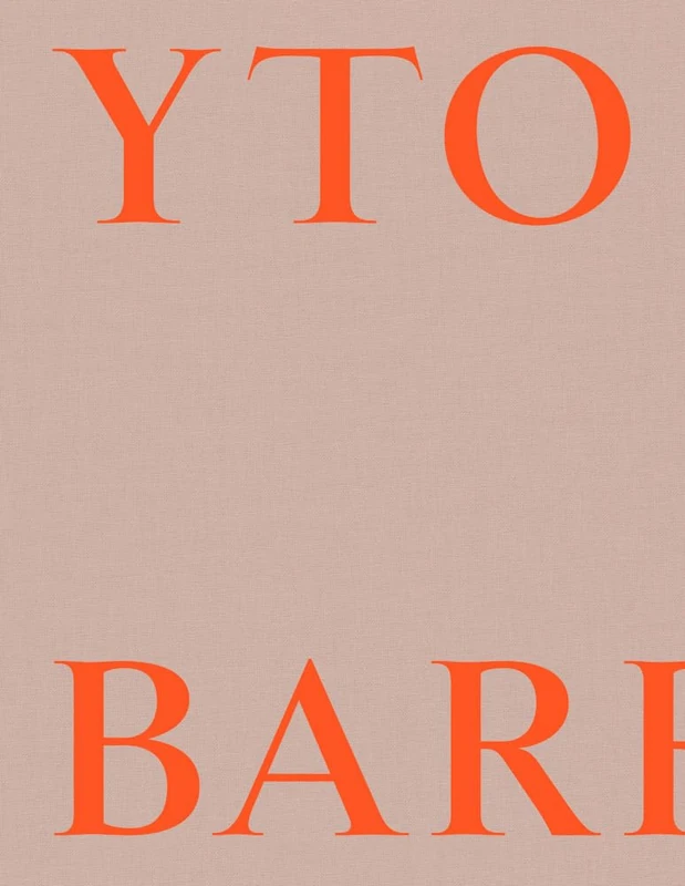 Yto Barrada: Color Problems