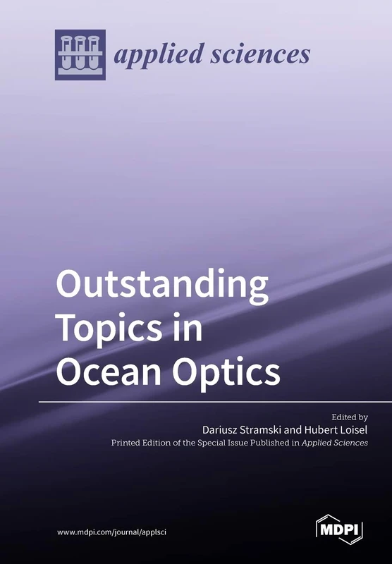 Outstanding Topics in Ocean Optics