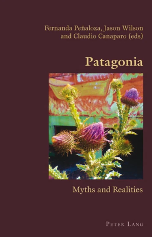 Patagonia: Myths and Realities: 4 (Hispanic Studies: Culture and Ideas)