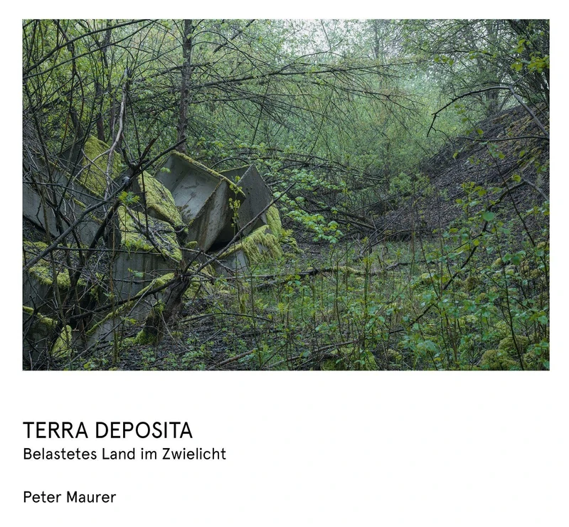 Peter Maurer Terra Deposita /allemand: Belastetes Land im Zwielicht - Image 1