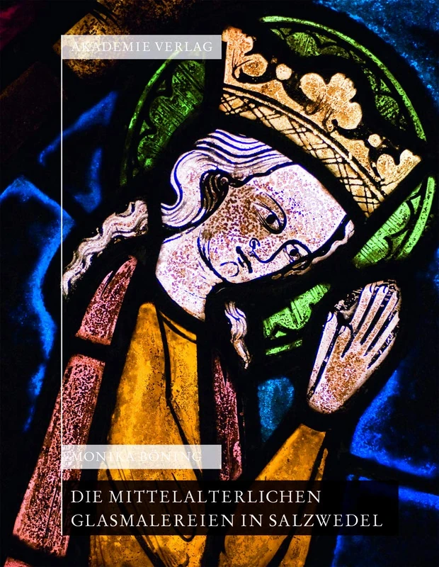 Die mittelalterlichen Glasmalereien in Salzwedel: Pfarrkirche St.Marien, Pfarrkirche St. Katharinen, Johann-Friedrich-Danneil-Museum: XIX/3 (Corpus Vitrearum Medii Aevi, XIX/3)