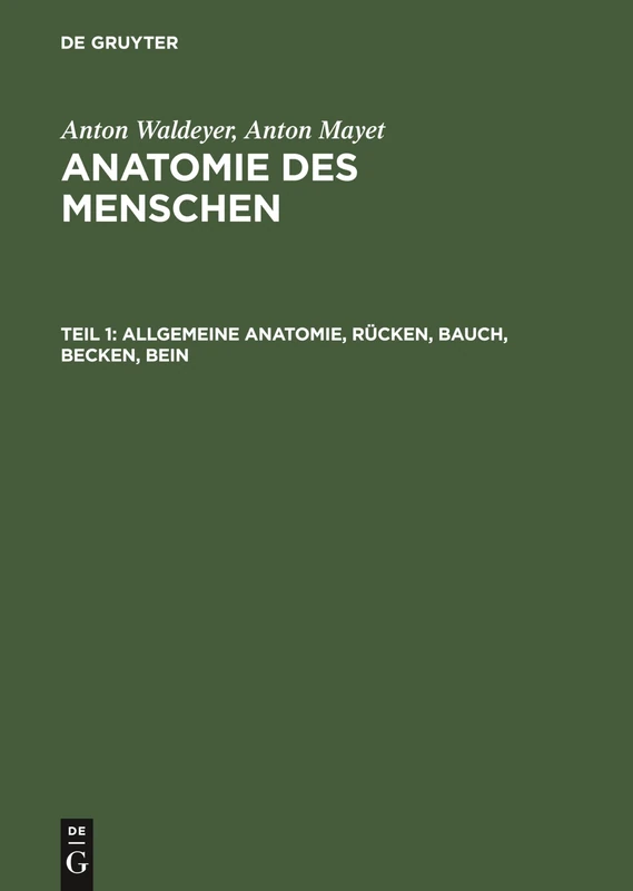 Allgemeine Anatomie, Rücken, Bauch, Becken, Bein - Image 1