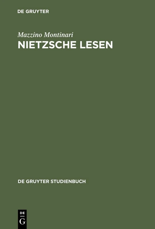 Nietzsche Lesen (De Gruyter Studienbuch)