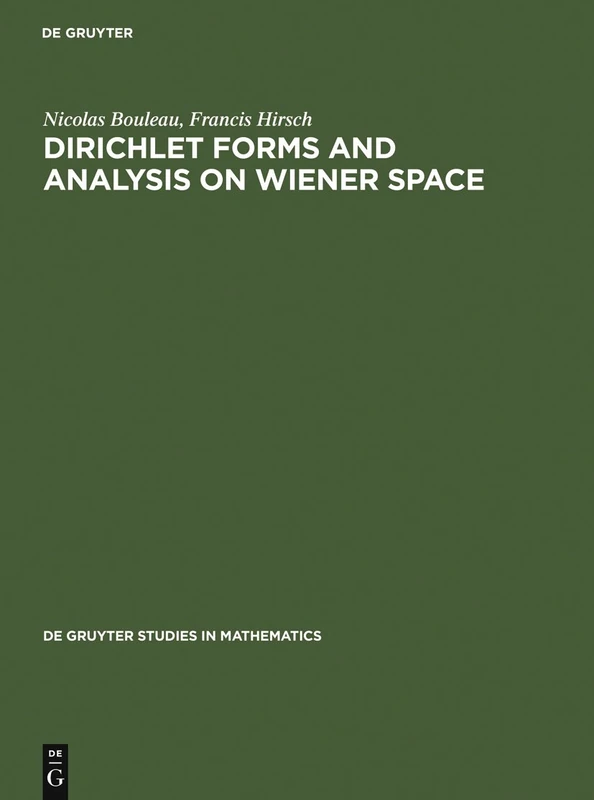 Dirichlet Forms and Analysis on Wiener Space: 14 (De Gruyter Studies in Mathematics, 14)