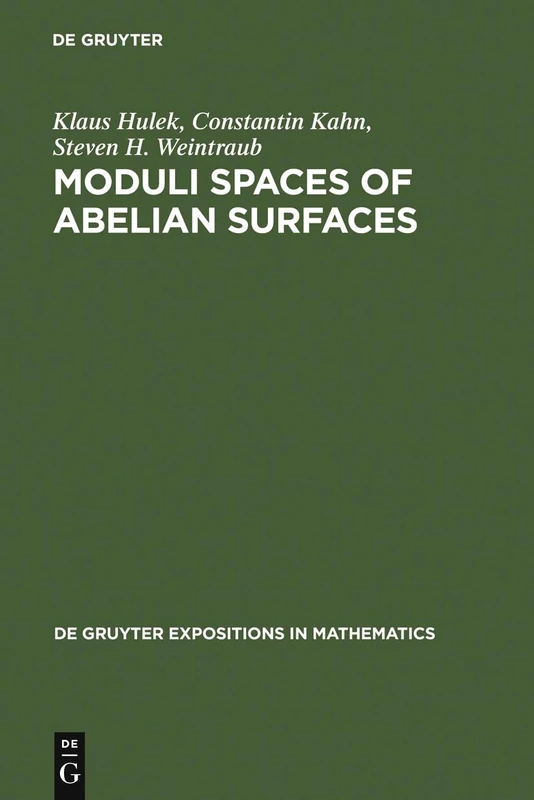 Moduli Spaces of Abelian Surfaces: Compactification, Degenerations and Theta Functions: 12 (De Gruyter Expositions in Mathematics, 12)