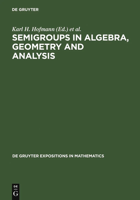 Semigroups in Algebra, Geometry and Analysis (De Gruyter Expositions in Mathematics): 20