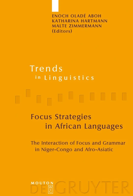 Focus Strategies in African Languages: The Interaction of Focus and Grammar in Niger-Congo and Afro-Asiatic: 191 (Trends in Linguistics. Studies and Monographs [TiLSM], 191)