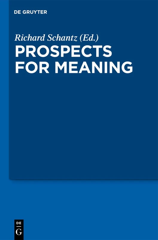 Prospects for Meaning: Prospects for Meaning v. 3 (Current Issues in Theoretical Philosophy)
