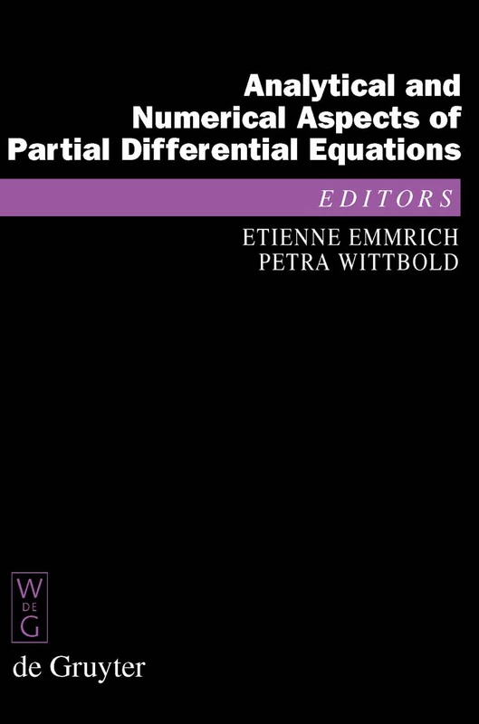 Analytical and Numerical Aspects of Partial Differential Equations: Notes of a Lecture Series (De Gruyter Proceedings in Mathematics)