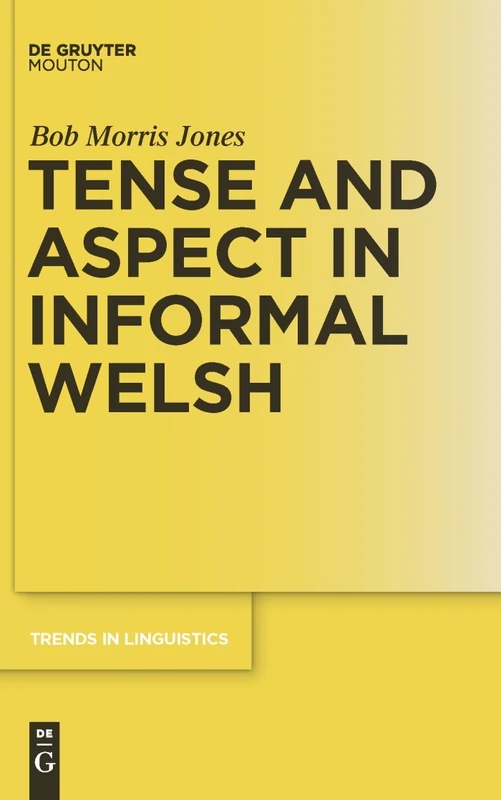 De Gruyter Tense and Aspect in Informal Welsh - TiLSM 223