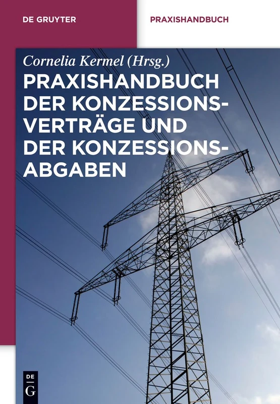 Praxishandbuch der Konzessionsverträge und der Konzessionsabgaben: Wegenutzungsverträge in der Energie- und Wasserversorgung (de Gruyter Praxishandbuch)