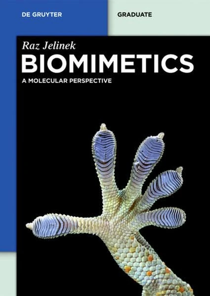 Biomimetics: A Molecular Perspective (De Gruyter Textbook)