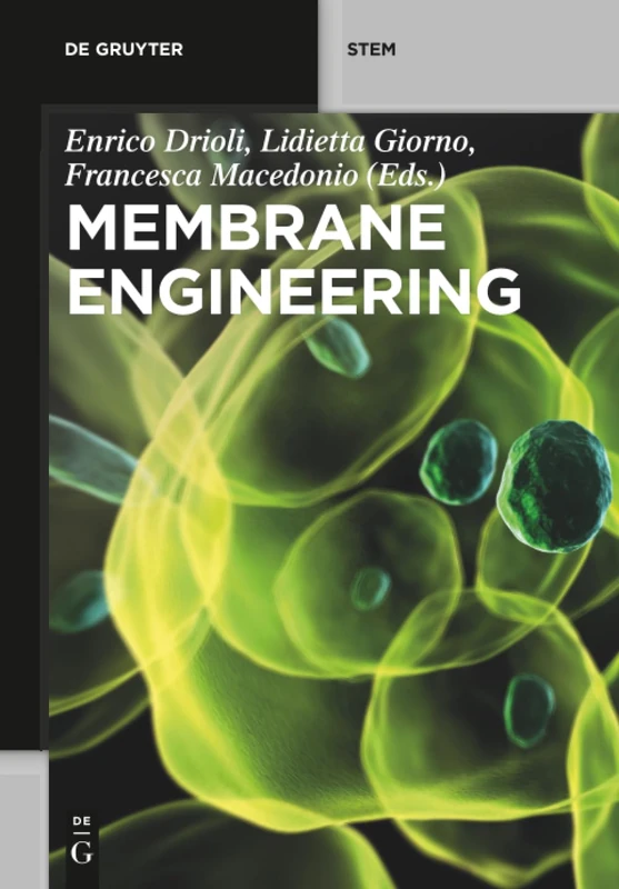 Membrane Engineering: 281 (De Gruyter STEM)