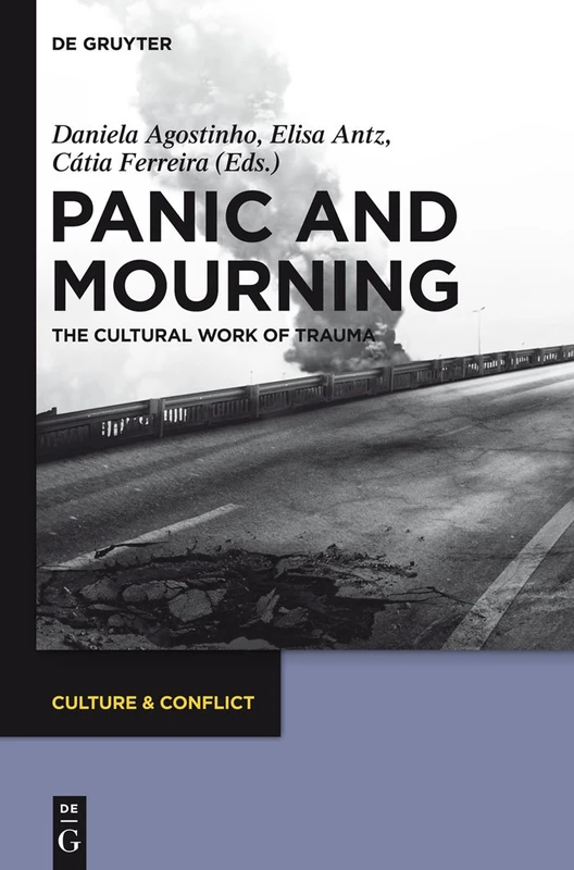 Panic and Mourning: The Cultural Work of Trauma: 1 (Culture & Conflict, 1)