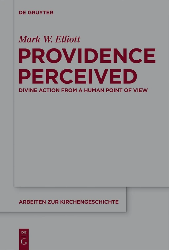 Providence Perceived: Divine Action from a Human Point of View: 124 (Arbeiten zur Kirchengeschichte, 124)