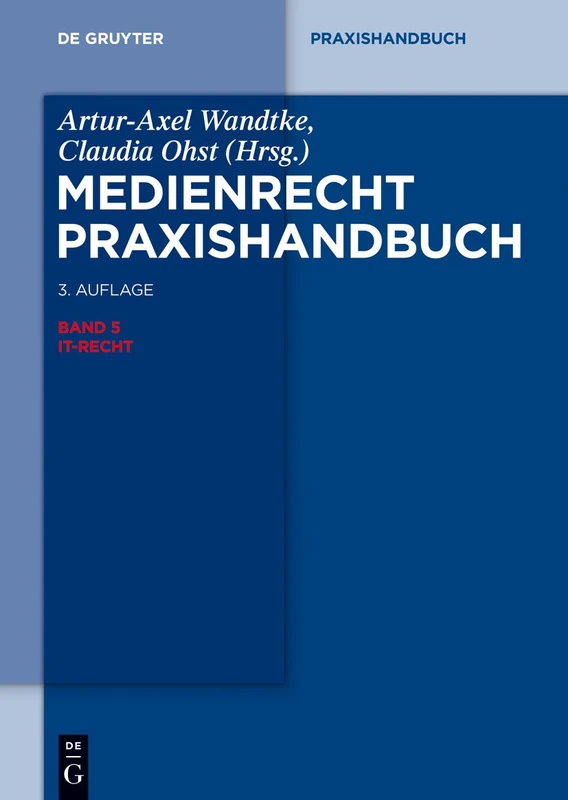 It-Recht (de Gruyter Praxishandbuch)