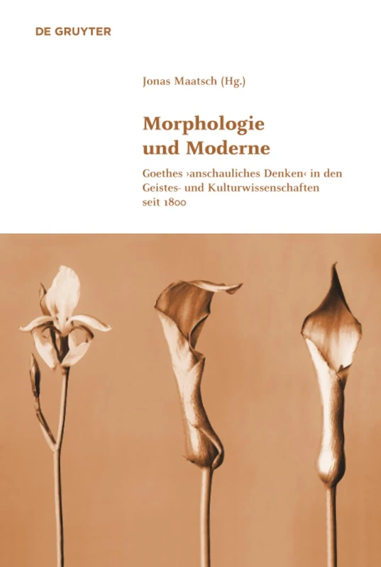 Morphologie und Moderne: Goethes >Anschauliches Denken: 5 (Klassik Und Moderne)