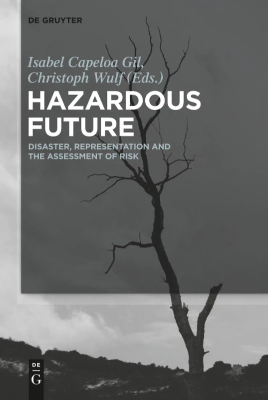 Hazardous Future: Disaster, Representation and the Assessment of Risk