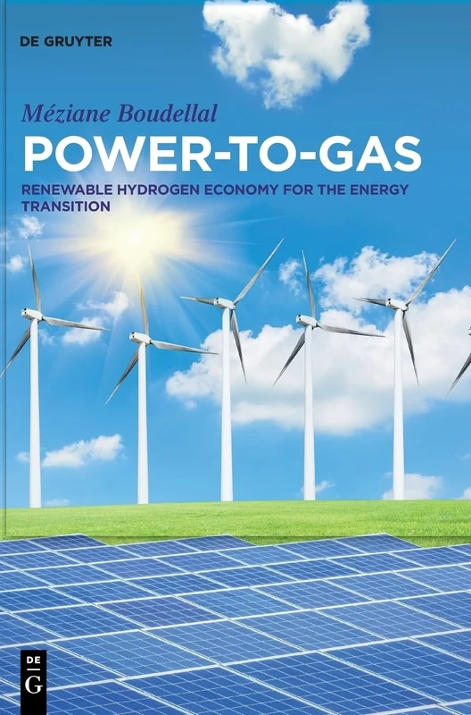 Power-to-Gas: Renewable Hydrogen Economy for the Energy Transition