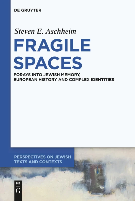 Fragile Spaces: Forays into Jewish Memory, European History and Complex Identities: 8 (Perspectives on Jewish Texts and Contexts, 8)