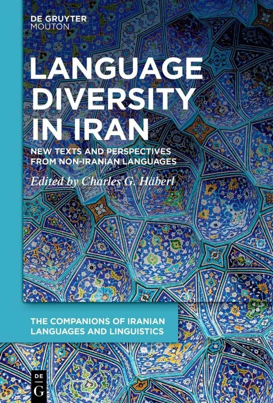 Language Diversity in Iran: New Texts and Perspectives from Non-Iranian Languages: 4 (The Companions of Iranian Languages and Linguistics [CILL], 4)