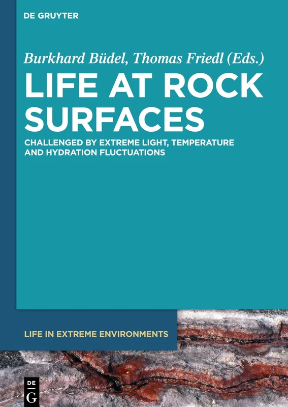 Life at Rock Surfaces: Challenged by Extreme Light, Temperature and Hydration Fluctuations: 9 (Life in Extreme Environments, 9)
