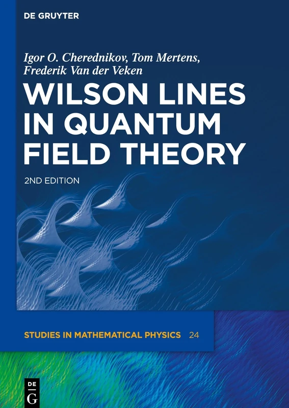 Wilson Lines in Quantum Field Theory: 24 (De Gruyter Studies in Mathematical Physics, 24) - Image 1