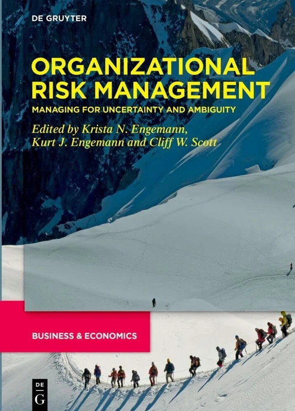 Organizational Risk Management: Managing for Uncertainty and Ambiguity (Developments in Managing and Exploiting Risk, 3)