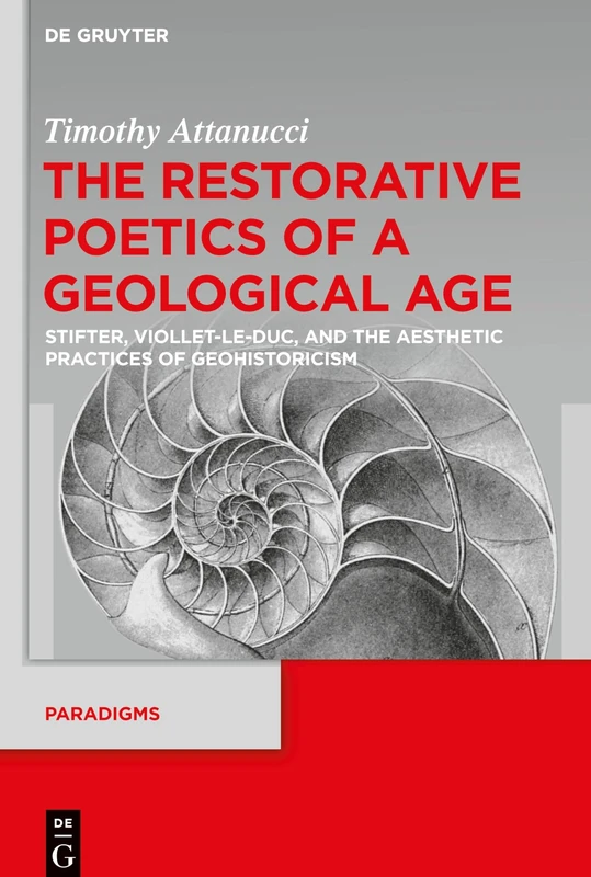 The Restorative Poetics of a Geological Age: Stifter, Viollet-le-Duc, and the Aesthetic Practices of Geohistoricism: 11 (Paradigms, 11)